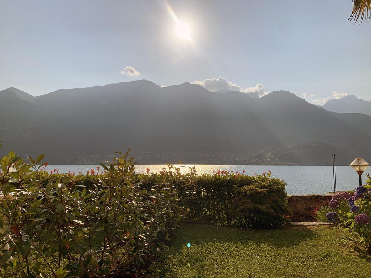 Oliveto LarioTerrace On The Lake公寓 外观 照片